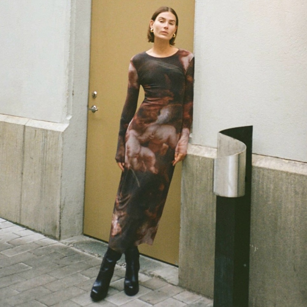 Zara Brown and Black Maxi Dress